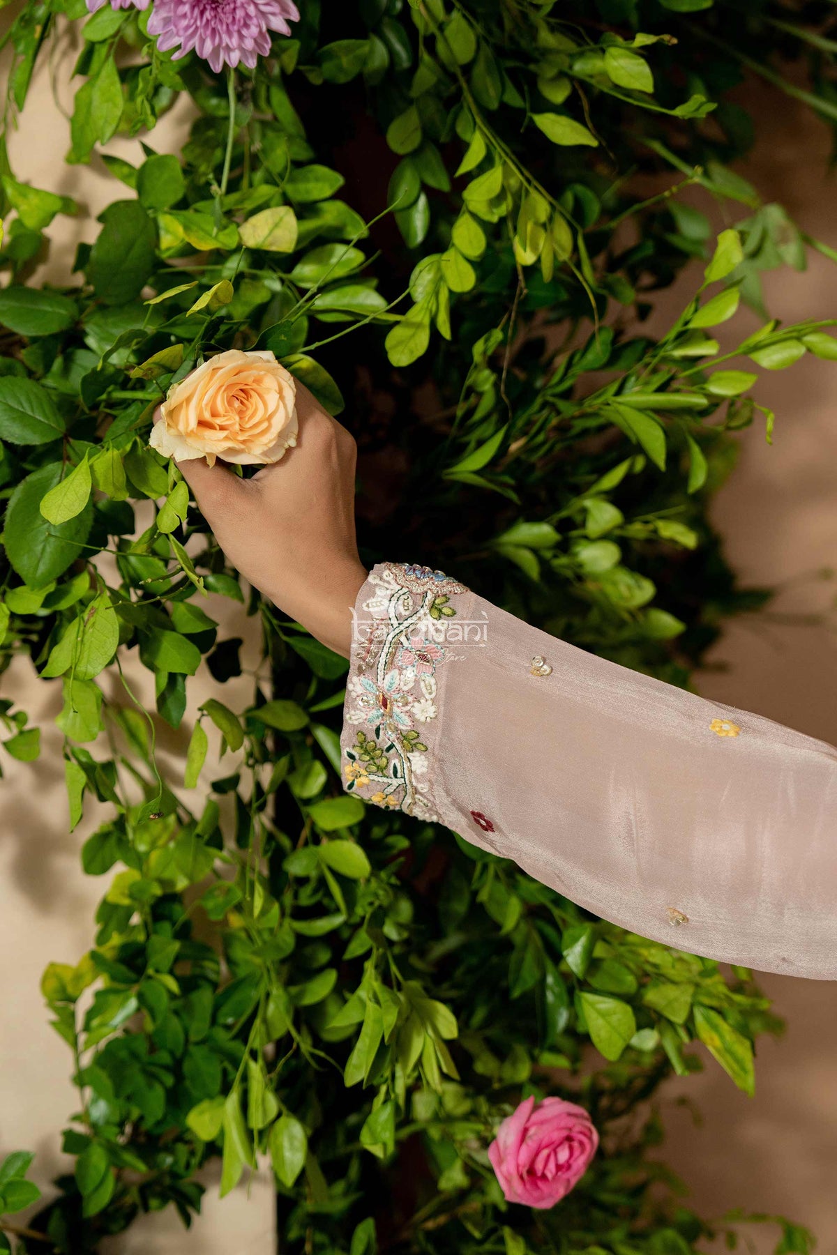 Hand holding a peach-colored rose amidst greenery